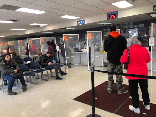 Gladstone DMV - Visual