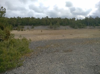 Photos of Abula matkarada