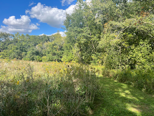 Bowstring Wildlife Area - Visual