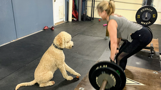 Vigorate Training & Fitness - Thumbnail