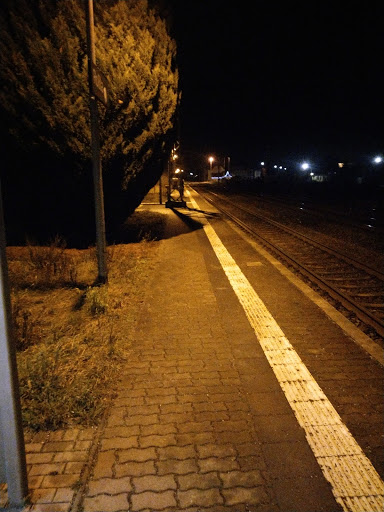 Roßla - Visual