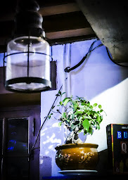 Photo n°20 de La Tour des Villains de Montsaugeon à Le Montsaugeonnais (Salle de spectacles)