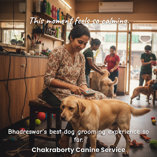 Good Service post image