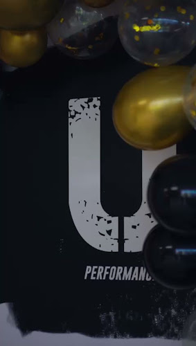 UNDIVIDED Performance (UNDVD)