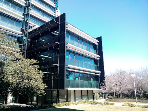 Parramatta Hospital Archaeological Site - Thumbnail