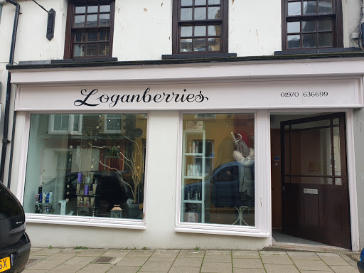 Loganberries - Visual
