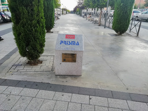 Bulevar Sur - Visual