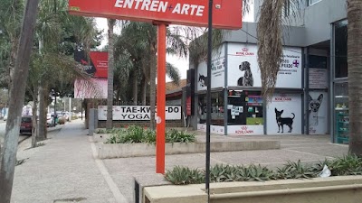 Photos of Paseo del Prado