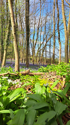 Coopers Hill nature reserve - Thumbnail