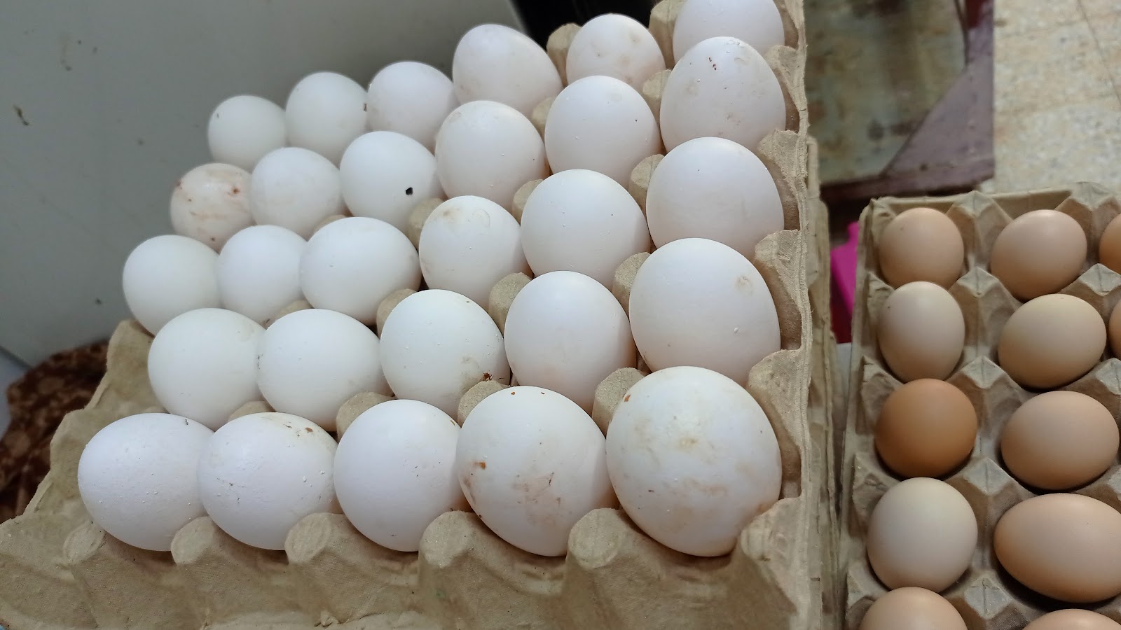 Chicken market Shahanshah - صورة 2