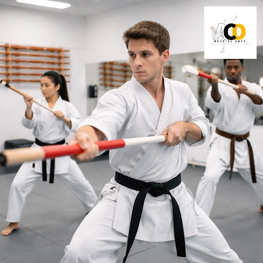 Ready to take your weapon skills to the next level? At ACD Martial Arts in Mandsaur, our intermed…