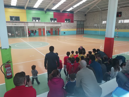 Pabellón Polideportivo Municipal de Daroca. Gallery - Spain