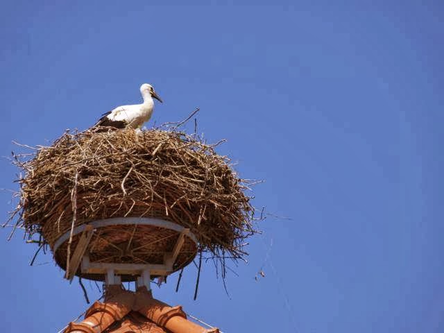 Hotel Gutshof Insel Usedom