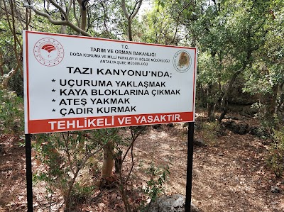 Tazı Kanyonu