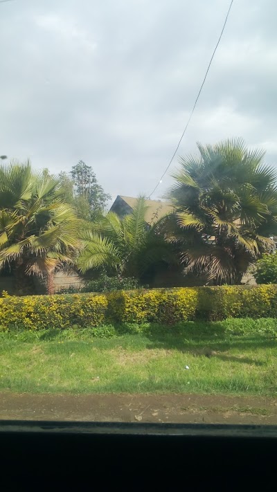 Photos of St. Martin CSA