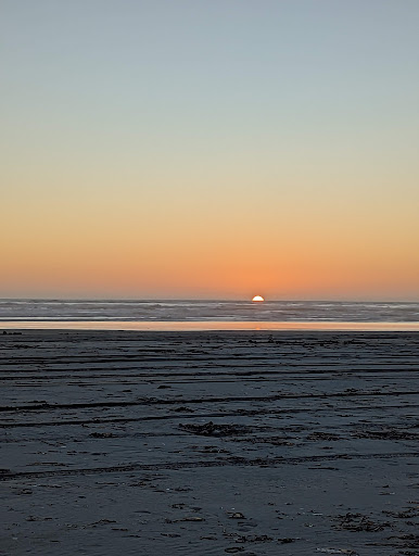 Grayland Beach - Visual