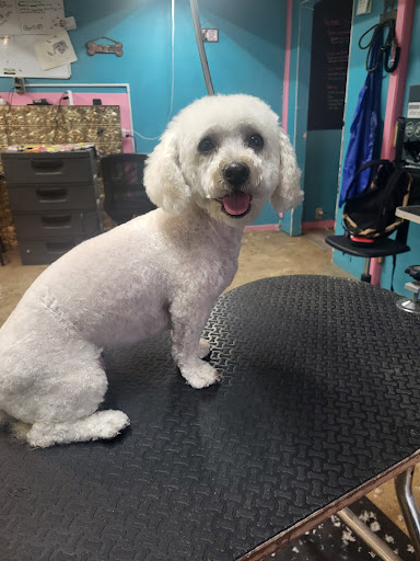 Lemoore Dog Grooming - Thumbnail