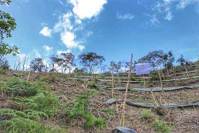 Photos of ALTOS DE GUADALUPE | FINCA