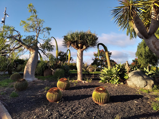 Parque de la Mayordomía - Thumbnail