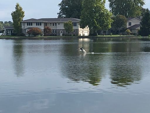 RE/MAX Lakes Realtors - Thumbnail