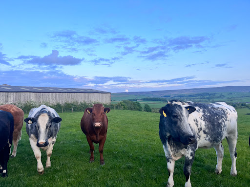Shay Gate Farm Campsite - Thumbnail