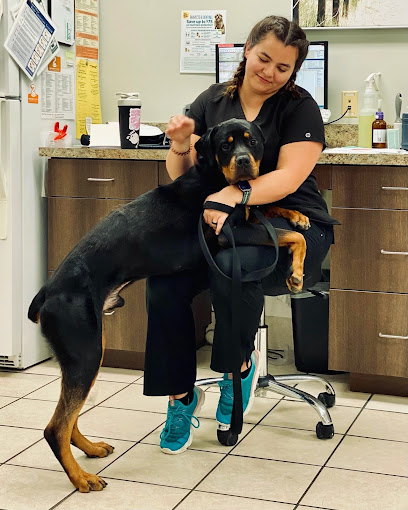 Case Veterinary Hospital