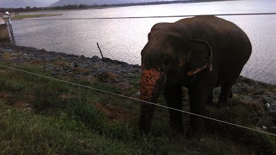 Photos of Uda Walawe Reservoir