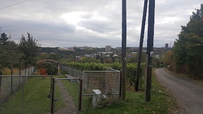 Photos of A.T.U Wiesbaden - Dotzheim