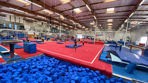 Scats Gymnastics