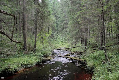 Photos of Līgatnes upes dabas taka