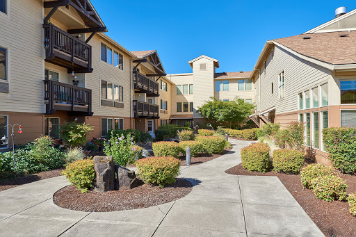 Marian Estates - Visual