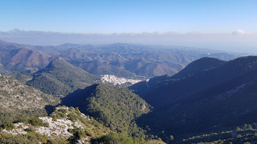 Corzo Viewpoint - Visual