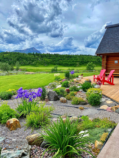 Thanksgiving Ranch - Visual
