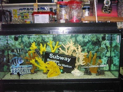 Brooklyn Zoo & Aquarium Pet Store