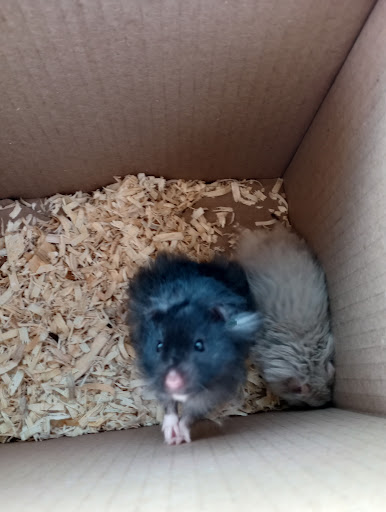 Walter's World of Pets Gallery - United States