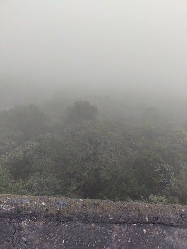 El cerro de la Estrella - Thumbnail