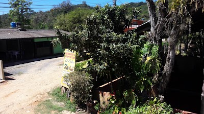 Photos of Restaurabte El Cedro