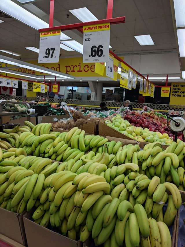 Brandon & Joanny's No Frills