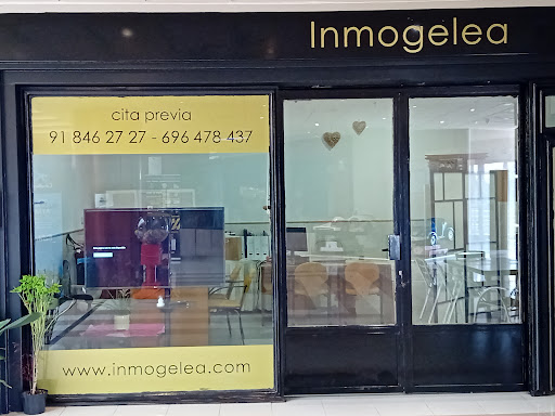 InmoGelea