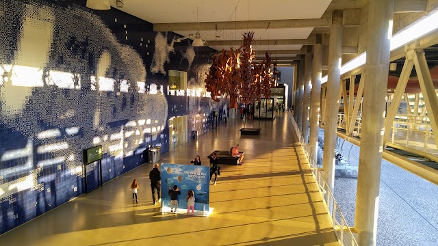 Aquarium / Océanorium de Lisbonne