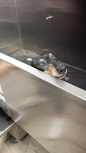 Pet Supplies Plus Maspeth Gallery - United States