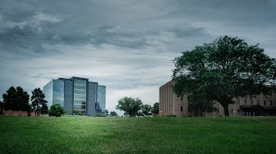 CSM Softball Field