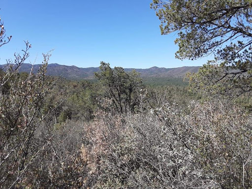 Salida Gulch Trail #95
