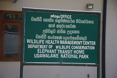 Photos of Udawalawe Elephants park, Srilanka