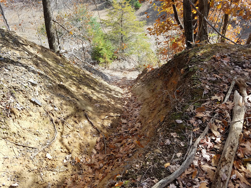 Perry State Forest - Visual