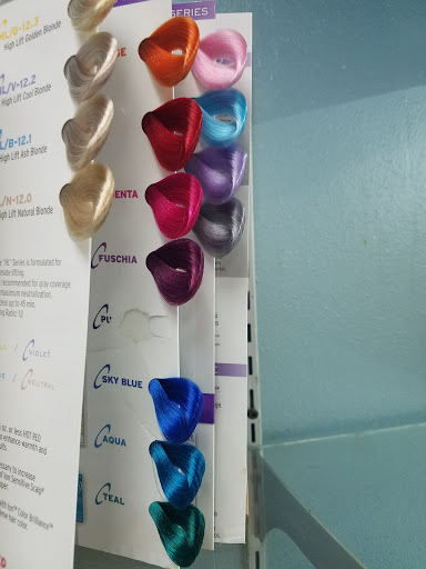Diva's Salon - Visual