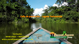 Pucallpa Amazon Tours Operador Turistico 5