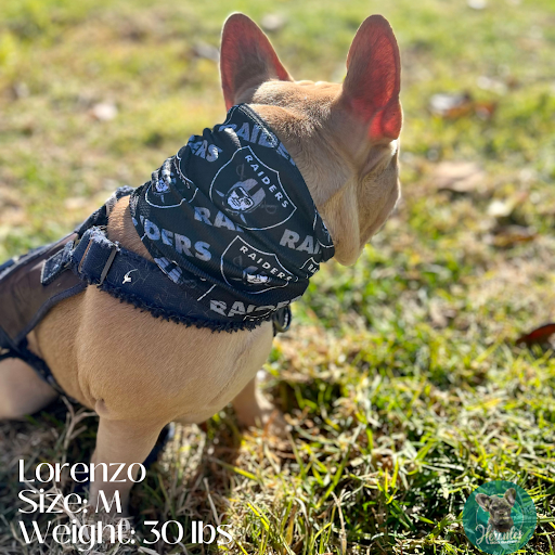 Hercules Dog Gaiters - Thumbnail