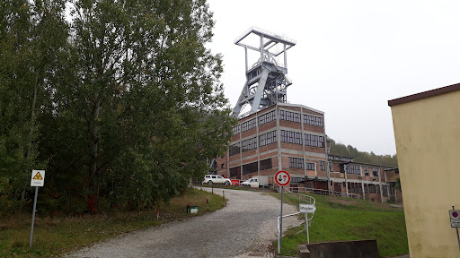 Die Lagerstättensammlung der Wismut GmbH