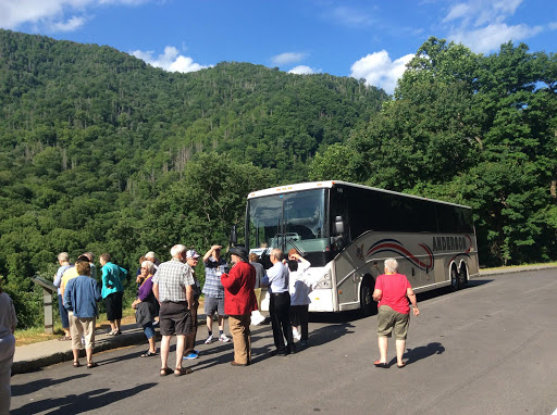 Anderson Bus and Coach of Frazee Inc - Thumbnail